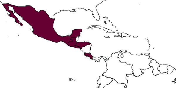 map of Pheidole janzeni     Longino, 2009